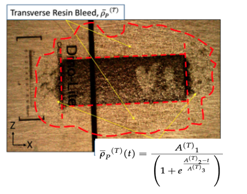 Experimental transverse resin bleed-out region with fitted area curve