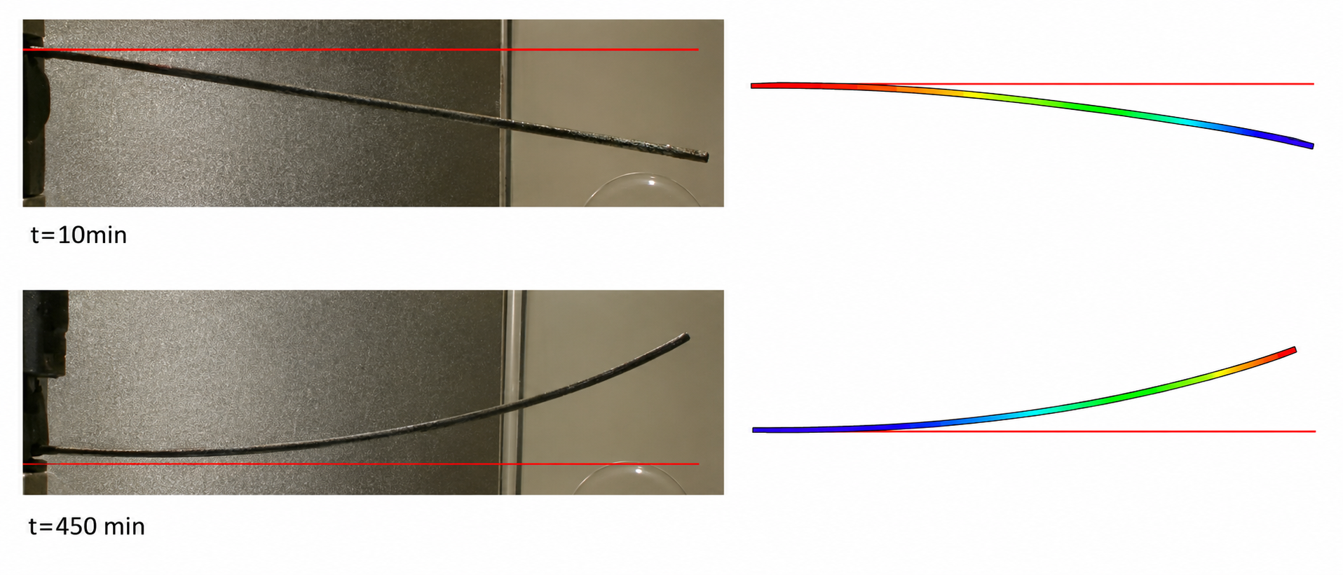 Bilamina characterization testing with measured specimen deformation and simulation comparison at 10 and 450 minutes