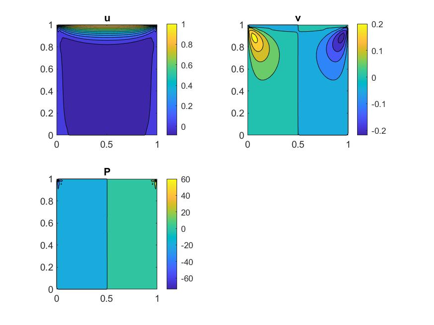 Navier-Stokes multigrid solver result