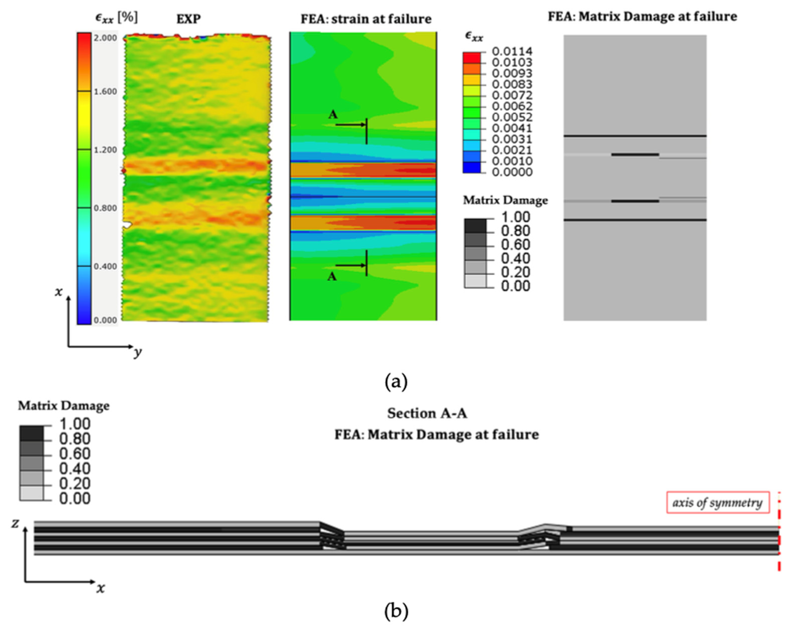 Experimental and finite element strain distributions with matrix damage